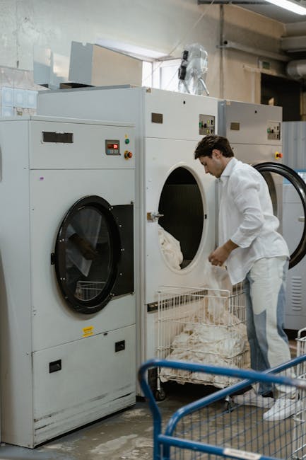 Ремонт стиральных машин Electrolux в Санкт-Петербурге: устранение кода ошибки F19